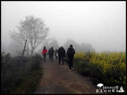 《印象‧阿里山》世外桃源.安靜的旅行-秘密遊(mimiyo~)