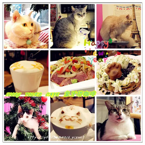 【台中】西屯區。寵物友善餐廳。逢甲夜市小巷弄內的貓咪咖啡「Ivory Tower Cafe 象牙塔咖啡」有萌翻天的貓兒陪吃飯唷!!!