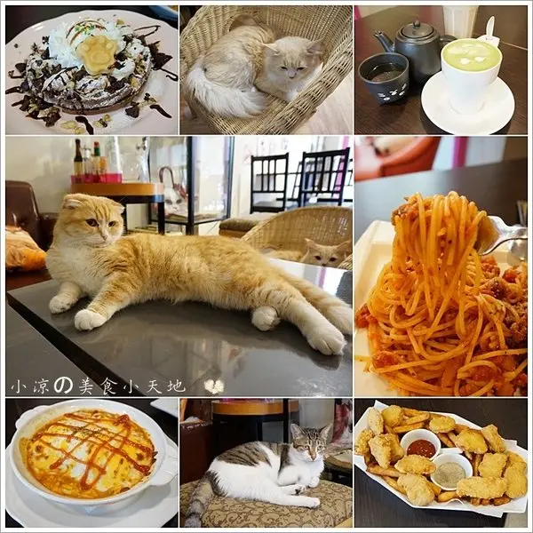 『台中。西屯區』隱藏在寧靜巷弄內的貓餐廳─IVORY TOWER CAFE 象牙塔咖啡