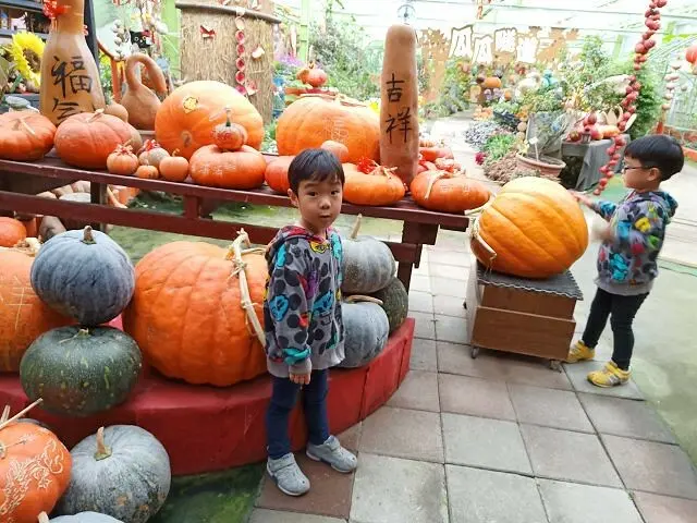 旺山休閒農場(南瓜王國)~~宜蘭壯圍親子景點．繽紛的南瓜隧道令人大開眼界