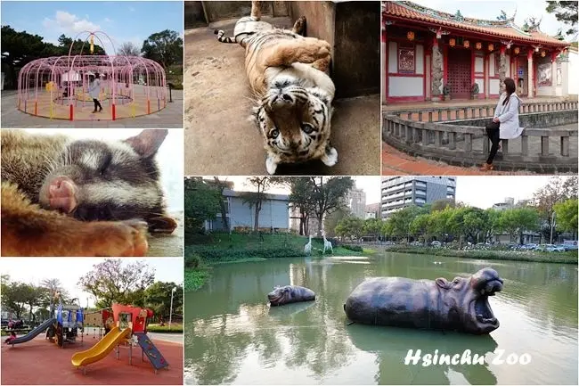 新竹市立動物園、新竹一日遊景點 ▶ 新竹市立動物園 Hsinchu Zoo、新竹公園城市躲貓貓、新竹孔廟 ▶ 新竹市立動物園門票、交通、遊園資訊、附近順遊景點!