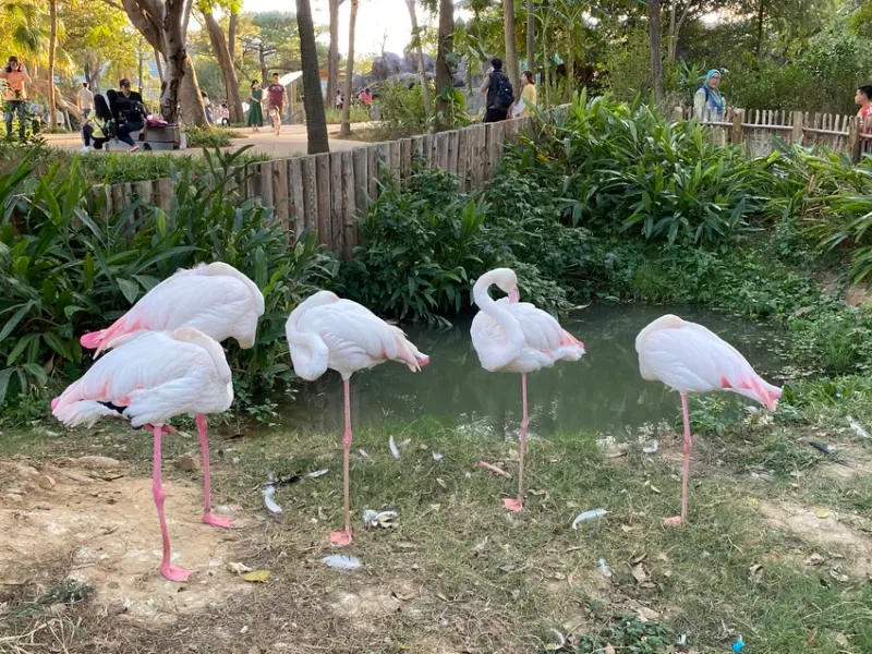 【新竹 景點】新竹市立動物園Re-Open，不冷不熱的秋冬最適合踏青遛遛的好地方