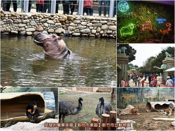 ﹝新竹市東區遊記﹞新竹市立動物園　新竹人的童年回憶，台灣原址現存的最老動物園重生！戶外無圍籠、無距離感，有如鄰家親近、親切般的市區動物園　／新竹市區必訪景點／新竹市區親子景點
