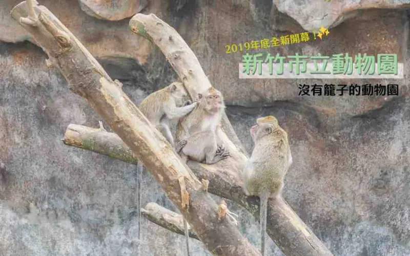 新竹親子景點｜全台最老動物園搖身一變成為無柵欄動物園＿新竹動物園