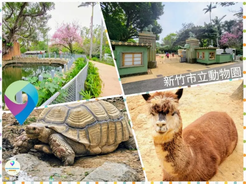 [遊]新竹 回憶起當年愛護動物的初衷 全臺現存最老的動物園 新竹市立動物園