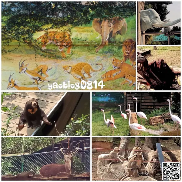 【新竹市│景點】新竹市立動物園＊童年回憶裡最古老的動物園