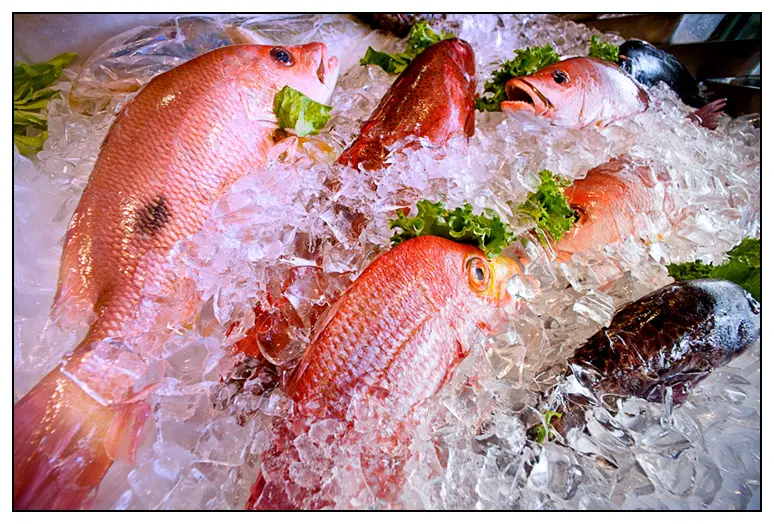 【台中】像家一樣～　吃得安心，吃得健康的梅子海鮮餐廳