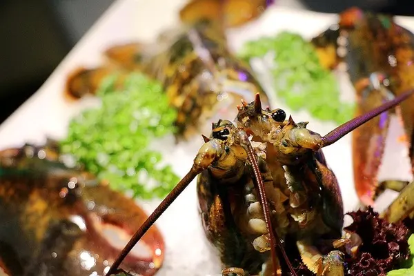 【羽諾食記】Shabu Lounge 浪奇時尚鍋物♥波士頓活龍蝦海陸雙人饗宴套餐♥台北東區必吃宵夜美食              