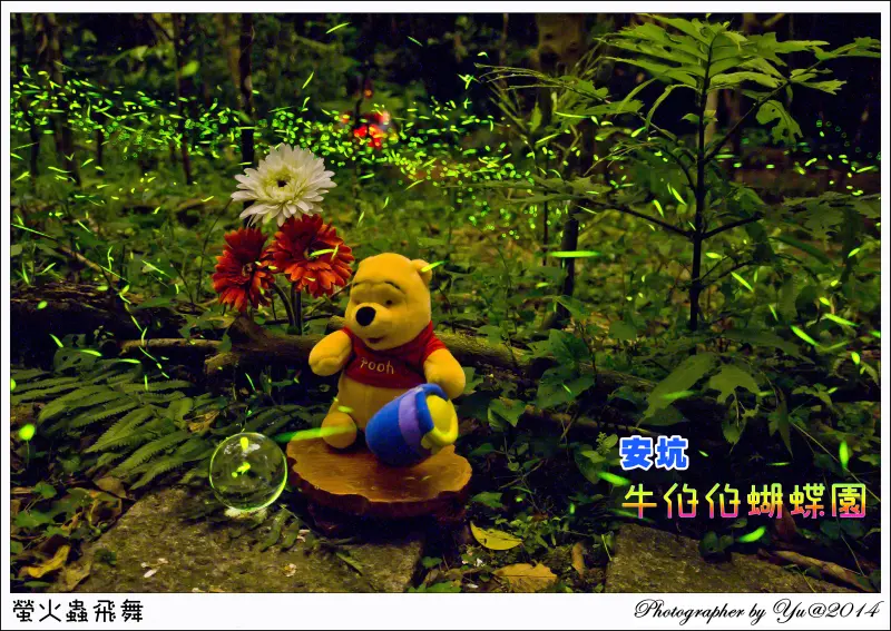 [攝影]【新店線新店區公所站】安坑牛伯伯生態蝴蝶園。賞螢火蟲秘境