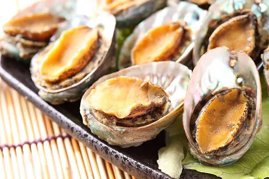 香Q彈牙的熟凍鮑魚