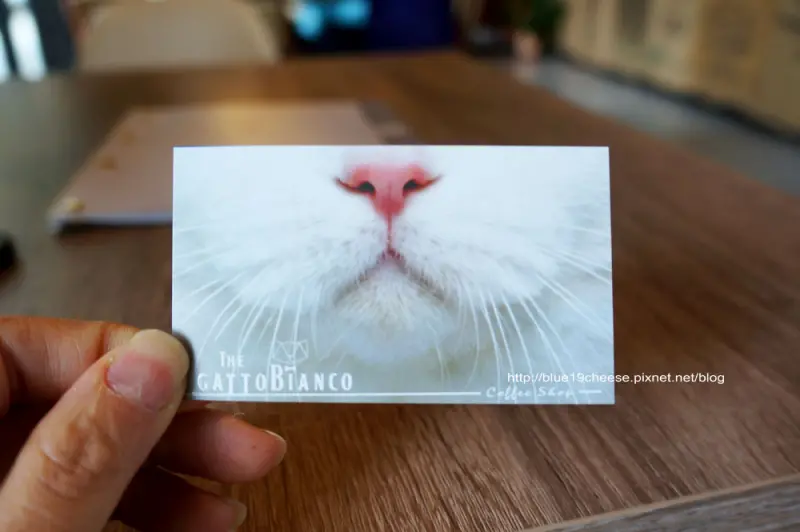 台中美食 白貓散步輕食館Gatto Bianco - 裡面沒有貓喔.怕貓的不用擔心.牆壁上是有一隻白貓在散步沒錯