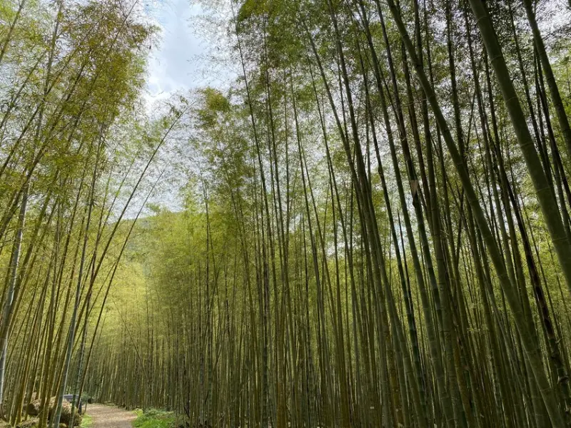 暑假親子旅遊月將近！還沒規劃好親子旅遊行嗎？南投親子旅遊懶人包在這！