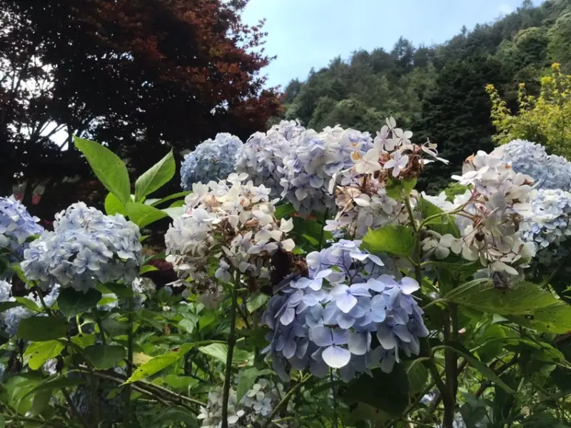  今年的暑假親子旅遊怎麼可以不來這？2020暑假親子旅遊必去行程大公開！