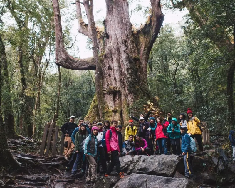 【山林秘境_司馬庫斯_上帝的部落_鎮西堡_神木的故鄉】｜台灣_新竹縣_國內旅遊