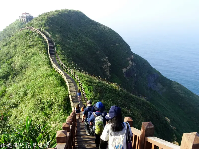 【新北-瑞芳區】親子健行景色宜人的鼻頭漁港&鼻頭角步道