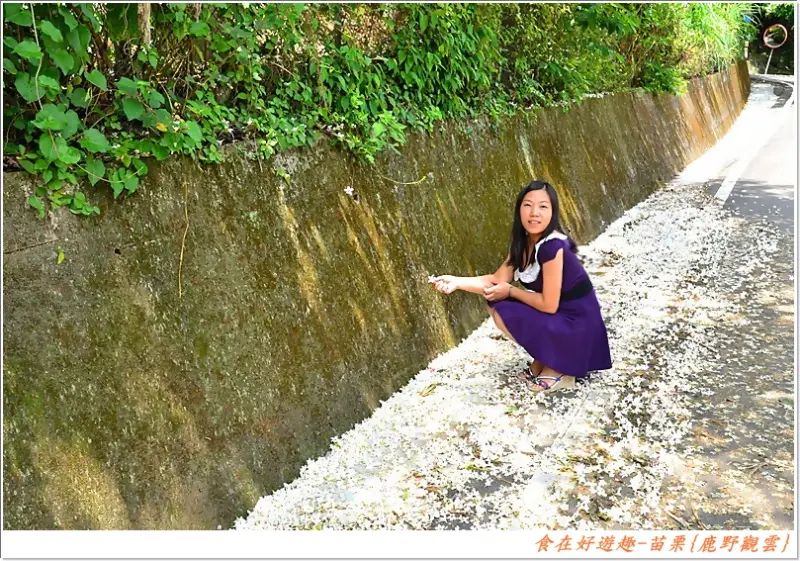 好食好景賞好花.來苗栗走一趟準沒錯!!{鹿野觀雲}