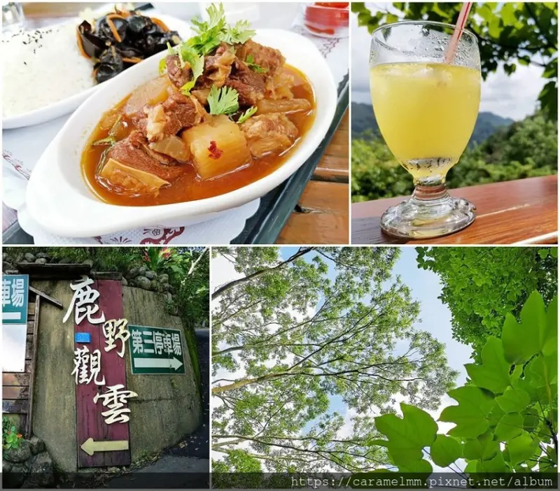 【苗栗公館】鹿野觀雲 鹿野觀雲景觀餐廳 苗栗民宿 苗栗油桐花 客家美食餐廳 苗栗景觀餐廳 打鹿坑 油桐花餐廳 苗栗下午茶