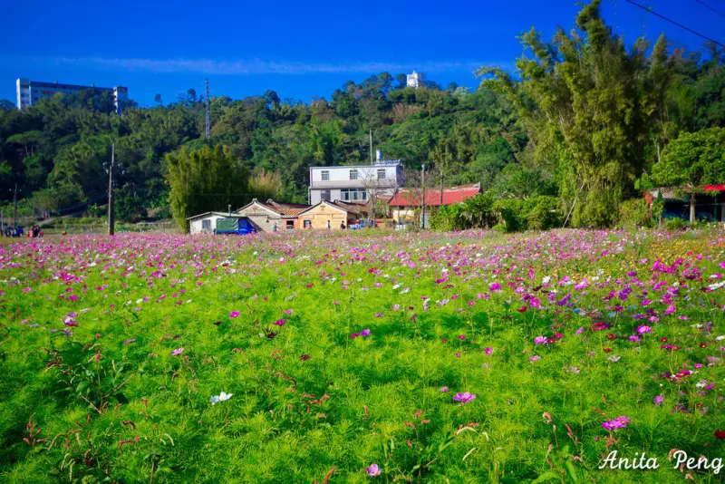 【玩樂．桃園】龍潭三坑老街＆三坑親水公園～逛老街吃小吃、騎鐵馬、夏天戲水，親子遊的好地方