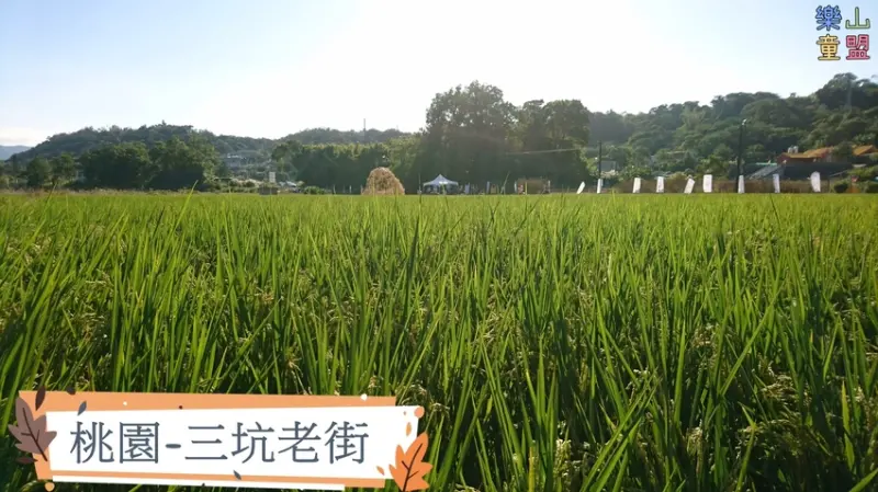 [桃園龍潭] 三坑老街~小而美的田園風景