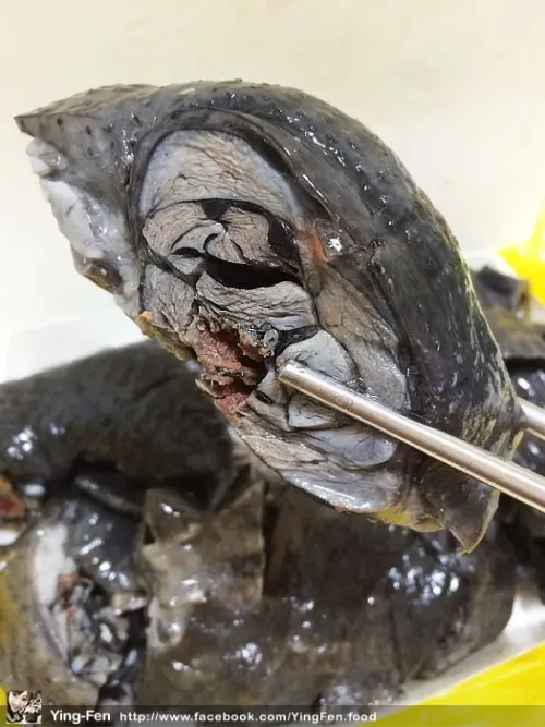 ❤台北-菜市場美食-黃氏美食風味館