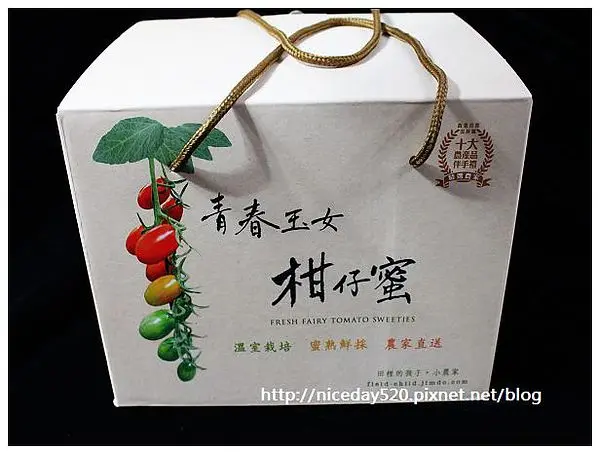 田裡的孩子｜青春玉女．柑仔蜜（玉女小蕃茄）