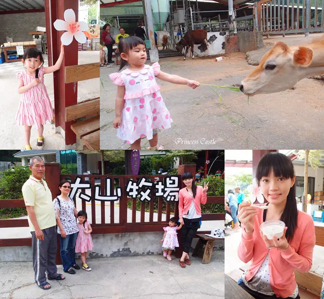 彰化花壇鄉│親子同遊_免門票【大山牧場】*體驗擠ㄋㄟㄋㄟ、餵牛吃草樂趣多！