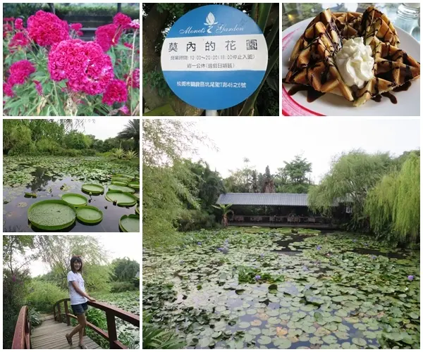 *桃園景點*莫內的花園，綠蔭碧湖蓮花池畔，度過悠閒午後時光