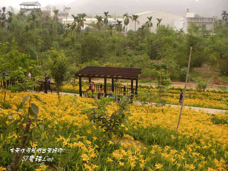 [ 嘉義⊙梅山]橫山屏休閒園區.好輕鬆就賞得到金針花