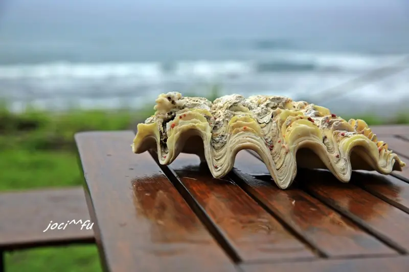 來去台東~轉個彎遇見海角八邊 Cape 8 與山海共舞  <成功>