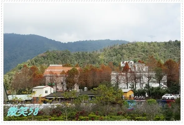 我在微笑58變成了一隻貓