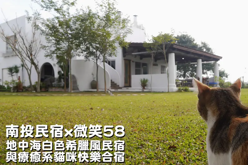 南投埔里民宿推薦｜微笑58，與貓咪合宿地中海希臘風民宿(近市區,附早餐,大草坪,可包棟,文末住宿優惠)