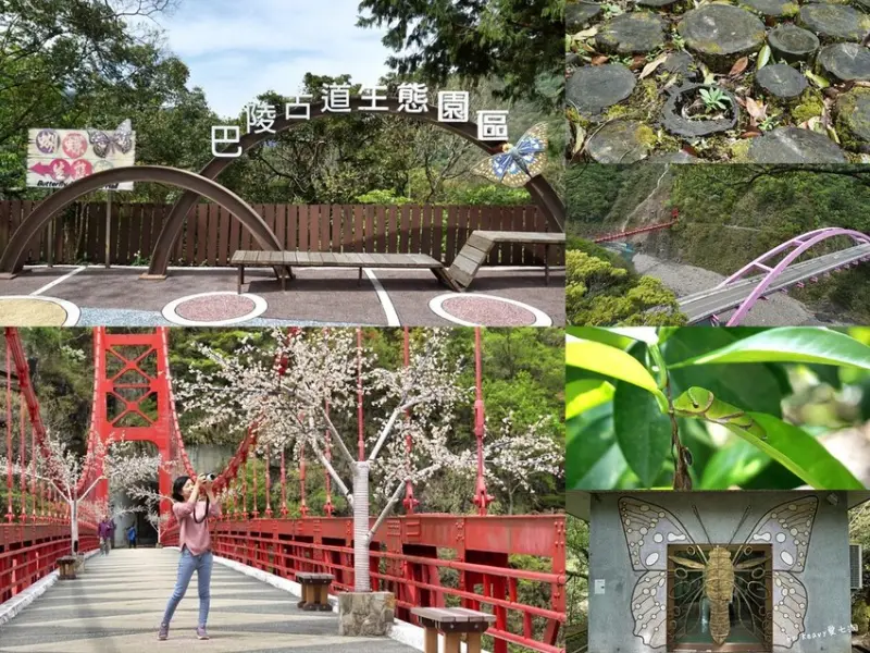 ★桃園復興★【拉拉山-巴陵古道生態園區】蝴蝶館/甲蟲館/闊葉林館/地質館/生態探索繩橋/俯瞰巴陵大橋與巴陵橋/免費景點。