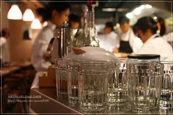 【台北】二訪MEOWVELOUS CAFÉ貓下去
