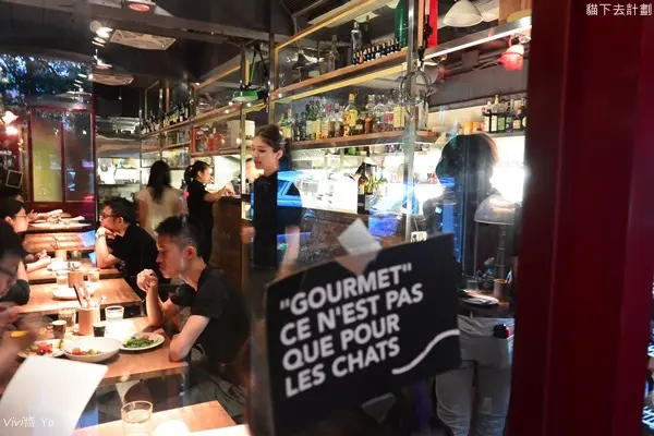 *台北中正*貓下去計劃 Meowvelous Project