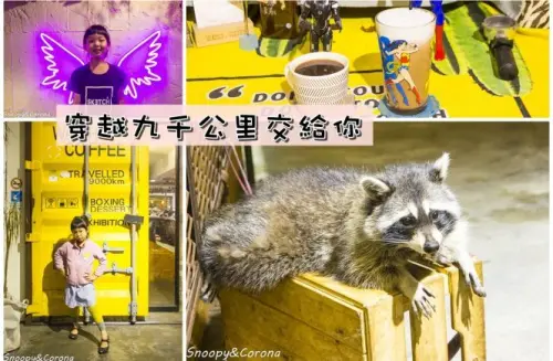 【吃喝．台北】浣熊主題咖啡館／穿越九千公里交給你～咖啡館+洗衣店／浣熊與牧羊犬萌店長融化你的心