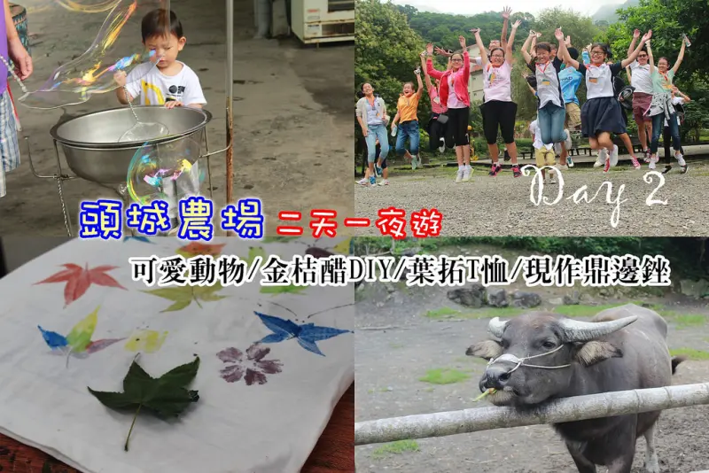 【宜蘭好玩】頭城農場，兩天一夜(Day2)生態導覽尋找黃金蛹/金桔果醋DIY/葉拓DIY/現採蔬菜馬上吃!!