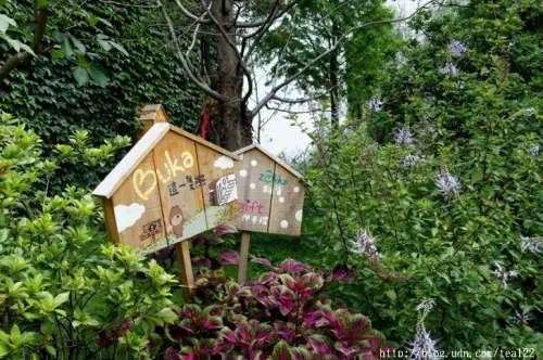 Buka這一隻熊實在帥斃了