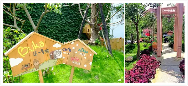 【台中】好夢幻好療愈好好拍《Buka這一隻熊》              