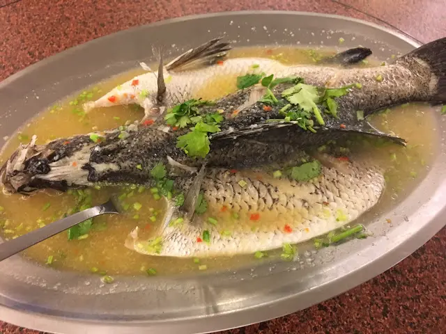 【新竹-湖口泰式料理】金三角南洋風味小廚，好吃又平價，不可思議的東南亞美食一條街！
