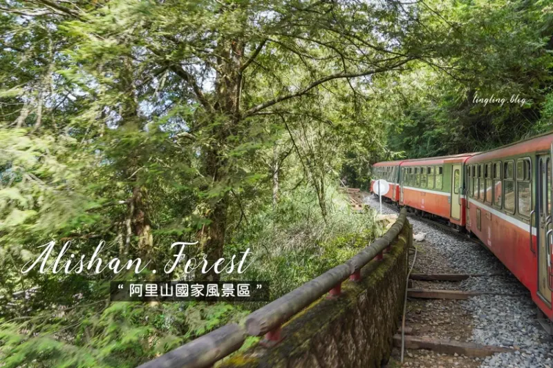 到阿里山森林遊樂區乘坐登山小火車,經典行程與登山路線分享。