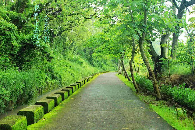 [ 台中⊙外埔]水流東桐花步道。一邊是農夫市集。一邊是賞高鐵觀景台~