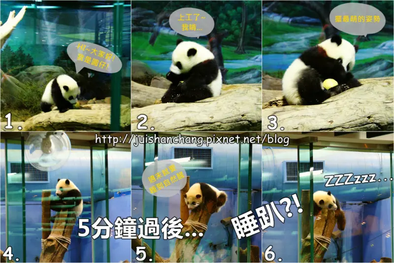 【遊記—台北】臺北市立木柵動物園～圓仔的日記