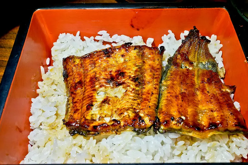 台北 松江南京站 鰻魚飯N天王之一? 魚心