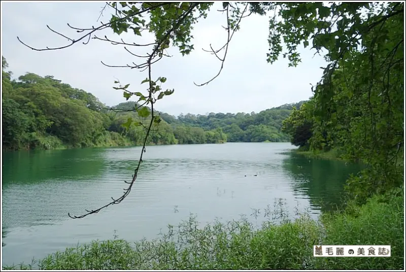 『說走就走-用腳認識寶山』DIY黑糖爆漿饅頭 狂嗑放山雞 漫步寶山水庫共享下午茶！