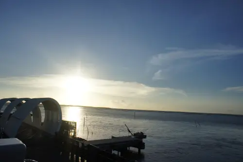 台南小旅行-享受陽光、賞花、喝酒、看海去