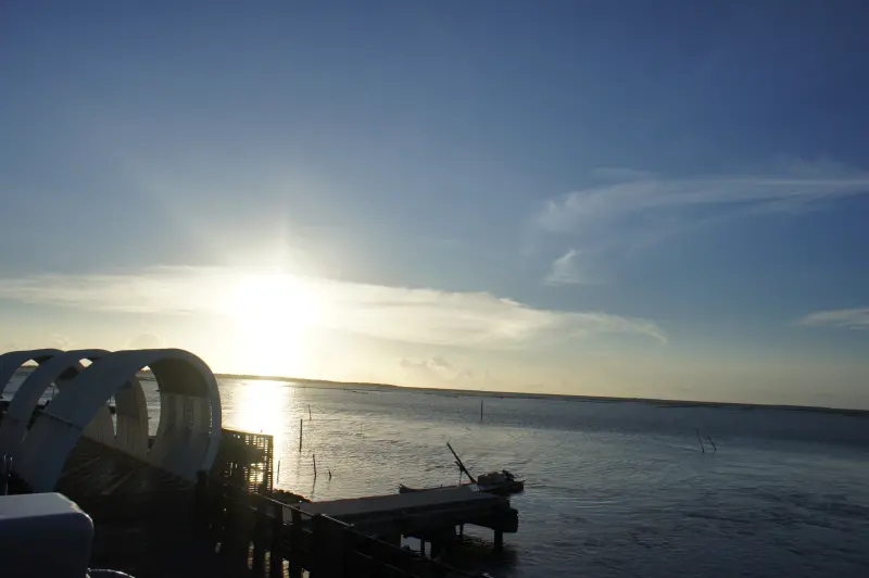 台南小旅行-享受陽光、賞花、喝酒、看海去