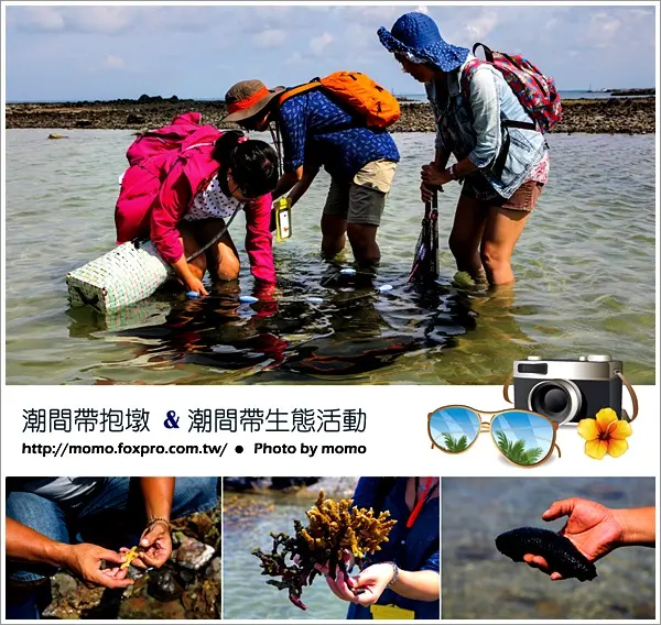 【2015.08.07【旅遊：澎湖】來到澎湖一定要體驗的「潮間帶抱墩 & 潮間帶生態觀賞活動」~親近大自然實在太促咪了啦！】