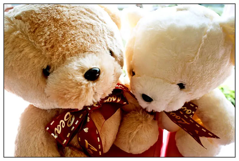 【魅力新聞】全國最大的泰迪熊，是放生星君仔的最佳選擇