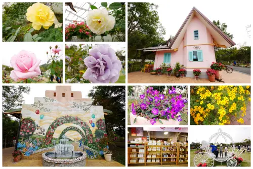 【雲林-古坑鄉】「蘿莎玫瑰莊園」免門票散步拍照景點