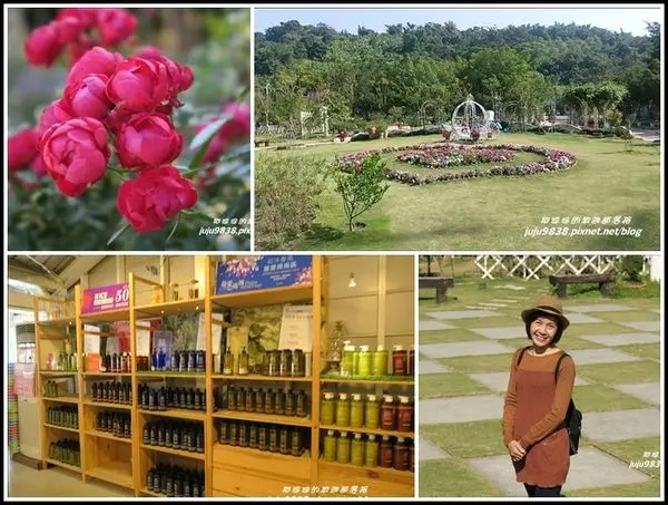雲林。蘿莎玫瑰莊園。好好拍也好好買免費入園
